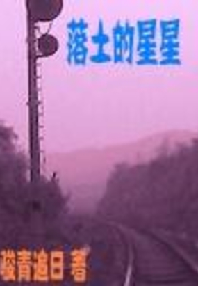 落土的星星在线阅读