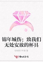 錦年城傷：致我們無處安放的杯具在線閱讀