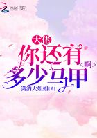 大佬你还有多少马甲啊在线阅读