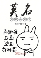 莫名其妙的红了在线阅读