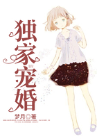 独家宠婚在线阅读
