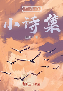 平凡的小詩集