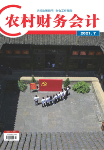 農村財務會計（2021年第7期）
