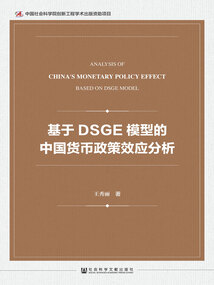 基于DSGE模型的中國貨幣政策效應分析