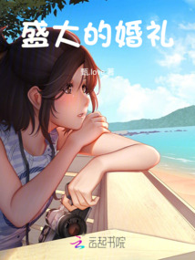 盛大的婚禮