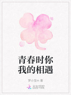 青春时你我的相遇在线阅读