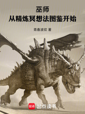 巫师：从精炼冥想法图鉴开始在线阅读