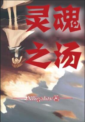 灵魂之汤在线阅读