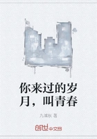 你来过的岁月,叫青春在线阅读