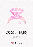 念念西風暖在線閱讀