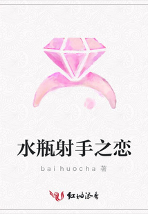水瓶射手之恋