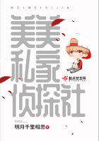 美美私家偵探社在線閱讀