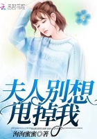 夫人别想甩掉我在线阅读