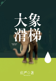 大象滑梯