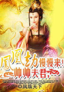 鳳凰劫：帥帥夫君，慢慢來！