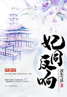 妃同反響在線閱讀