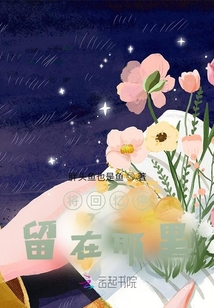 將回憶停留在那里