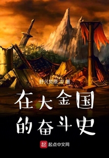 在大金國(guó)的奮斗史