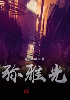 彌雅光在線閱讀