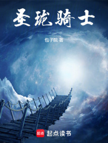 圣瓏騎士