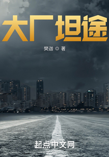 大厂坦途在线阅读