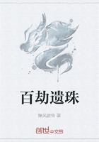百劫遗珠在线阅读