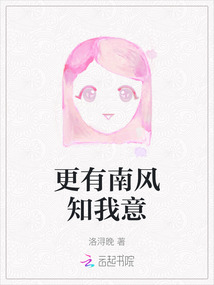 更有南風知我意