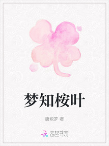 夢知桉葉