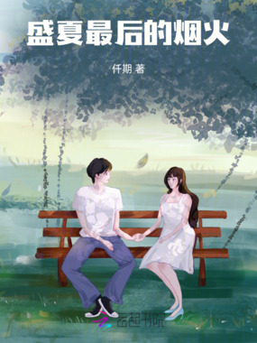 盛夏最后的烟火在线阅读