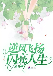逆風飛揚閃亮人生