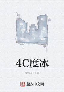 4C度冰