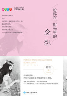 粉碎在时光里的念想