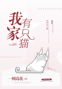我家有只貓
