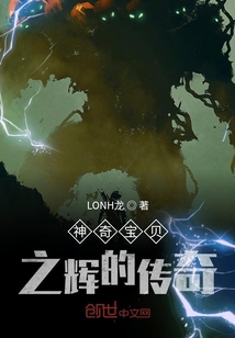 神奇宝贝之辉的传奇