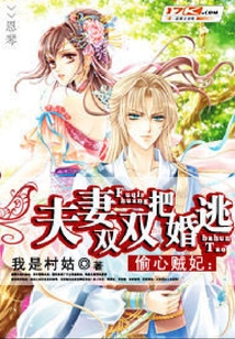 偷心賊妃：夫妻雙雙把婚逃