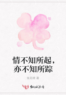 情不知所起，亦不知所蹤