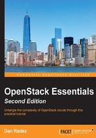 OpenStack Essentials（Second Edition）在线阅读