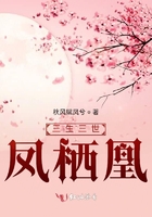 有凤来仪,非梧不栖在线阅读