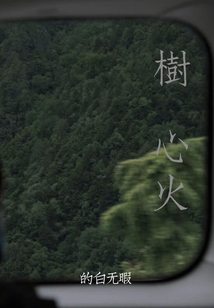 樹心火