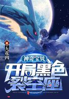 神奇宝贝:开局黑色裂空座在线阅读