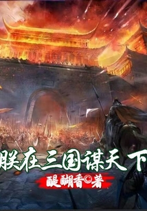朕在三國謀天下