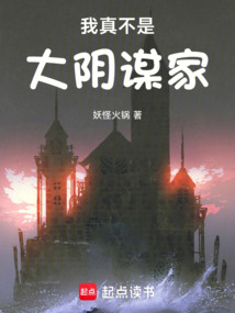 我真不是大陰謀家