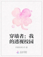 穿墙者:我的透视校园在线阅读