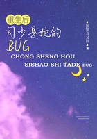 重生后司少是她的BUG在线阅读