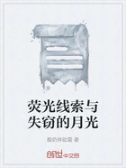 荧光线索与失窃的月光在线阅读