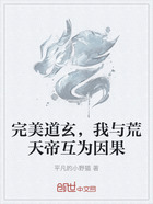 完美道玄,我与荒天帝互为因果在线阅读