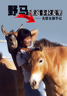 野馬：重返卡拉麥里（戈壁女孩手記）