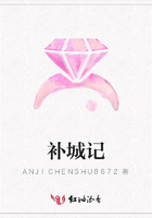補(bǔ)城記在線閱讀