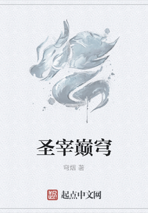 圣宰巔穹