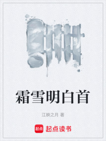 霜雪明白首